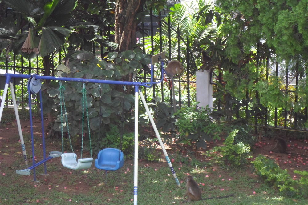 Kandy Green View Bungalow Bagian luar foto