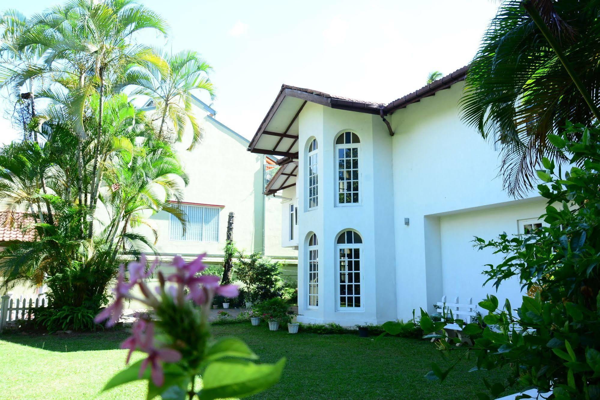 Kandy Green View Bungalow Bagian luar foto