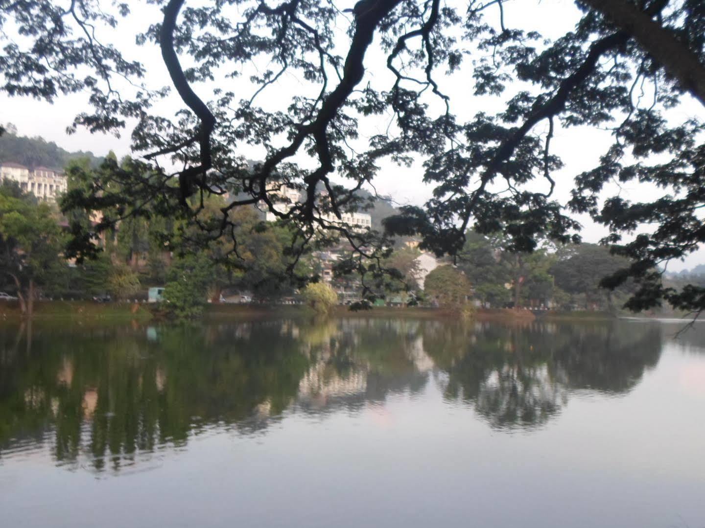 Kandy Green View Bungalow Bagian luar foto